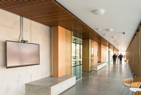 Wood paneled halls in the Adobe building